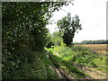 Farm track alongside Walton Common in PE32 1HL