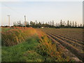 Ditch and potato ridges by Mill Lane in PE20 2BU