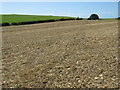 Bridleway across a field near Dorchester in DT2 9JN