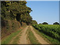 Three Forests Way through arable land, Stapleford Tawney in CM5 9PZ