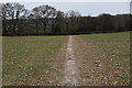 Footpath across field in GU34 3PY