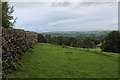 Wall and Pasture above Carr Beck in LS29 7AE