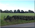 Field adjacent to the B4348 in HR2 9AT