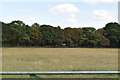 Woodland and grassland in ME19 6BQ
