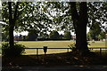 Barming Heath Recreation Ground in ME16 0WT