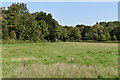 Field between Nunton and the A338 in SP5 4EE