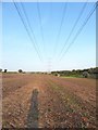 Constable, that's a Gainsborough: pylons seen from the St Edmund's Way in CO10 7LT