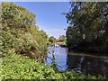 Boat on the Great Ouse river in MK44 3PY