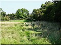 Footpath over a ridge and furrow field in Risley