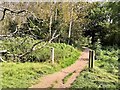 Frank Kirk Way footpath in Leake Ward
