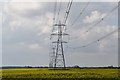 Pylons in rape field in CB11 4EY