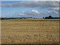 Harvested crop near Upper Ridinghill in AB43 8QD