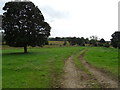 Farm track, Azerley Park in HG4 3QD