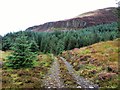 Track from Auchindrain to Durran on Loch Aweside in PA32 8XN