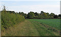 Footpath on field margin, near Church Road, Navestock in Navestock