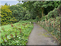 Path in Centre Vale Park in OL14 7JF