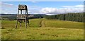 Wooden tower near Calamanach Wood in PH10 7PD