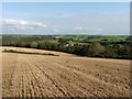 Field of stubble above Whitehall House in EX39 5HB