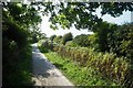 Grantham Canal towpath in NG12 4GB