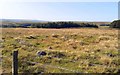 Bronze Age Burial Cairn, Davyshiel Hill in NE19 1HL