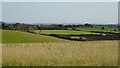 Farmland at Longdon Heath in WR8 0RN