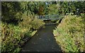 Footbridge over the Bothlin Burn in Kirkintilloch
