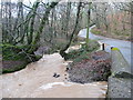 Floodwater at Plumper's Bridge in EX39 5JX