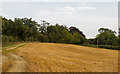 Harvested field near Pump Farm Cottages, Kelvedon Hatch in CM15 0LA