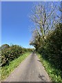 Country lane in SA14 7EN