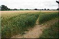 Footpath towards Milton-under-Wychwood in OX7 6HF
