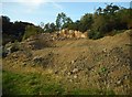 Small quarry, Bar Hill in G65 9QF