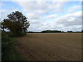 Field beside the Felixkirk to Thirsk road in YO7 2EF
