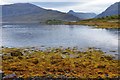 Shoreline view, Loch Gleann Dubh in IV27 4TN