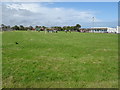 Playing fields, Clerkhill Primary School, Peterhead in Peterhead