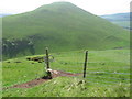 Tormaukin hillside towards Down Hill in FK14 7LG
