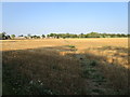 Footpath through a stubble field in Canons Ashby