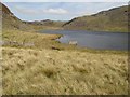 Llyn y Manod, southern end in LL41 4AU