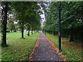 Tree lined footpath near Palace Grounds Retail Park, Hamilton in ML3 7JB