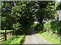 Woundales Lane towards Borrowby in YO7 4EF