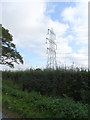 Hedgerow and pylon, Carr Leys in YO7 2LQ