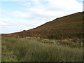 Moorland above Scarth Nick in DL6 3DL
