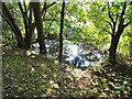 Small pond in Longsight Park in BL2 3LL