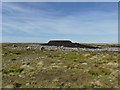 Peat dome near High Seat in CA17 4JT