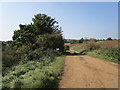 Farm track near Dodford in NN7 4SX