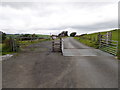 New cattle grid on the road around the western side of the Clywedog Reservoir in SY18 6NX