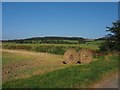 A pair of straw bales on Bonby Carrs in DN20 0PY