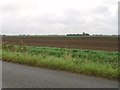 Farmland in PE12 6DE