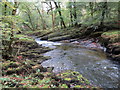 Afon Cothi in SA32 7ST