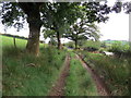 Llwybr ger Cathilas / Path near Cathilas in SA32 7YG