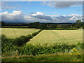 Crop fields, Sand Hill in DL7 9LJ